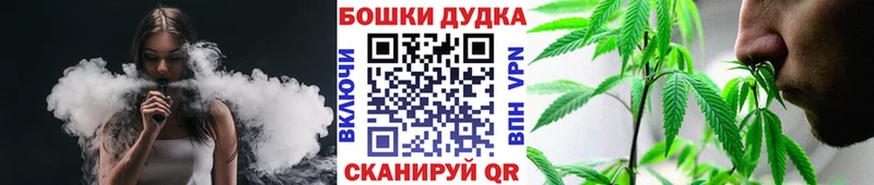 Конопля OG Kush Тихвин